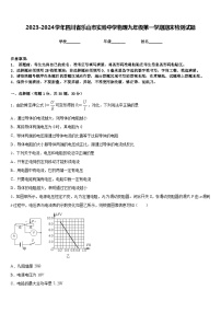 2023-2024学年四川省乐山市实验中学物理九年级第一学期期末检测试题含答案