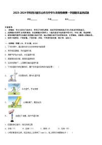 2023-2024学年四川省乐山市五中学九年级物理第一学期期末监测试题含答案