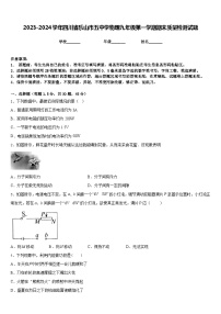 2023-2024学年四川省乐山市五中学物理九年级第一学期期末质量检测试题含答案