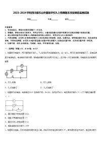 2023-2024学年四川省乐山外国语学校九上物理期末质量跟踪监视试题含答案