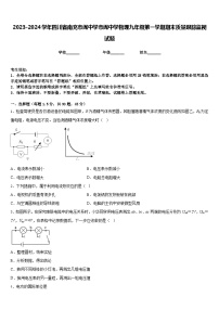 2023-2024学年四川省南充市阆中学市阆中学物理九年级第一学期期末质量跟踪监视试题含答案