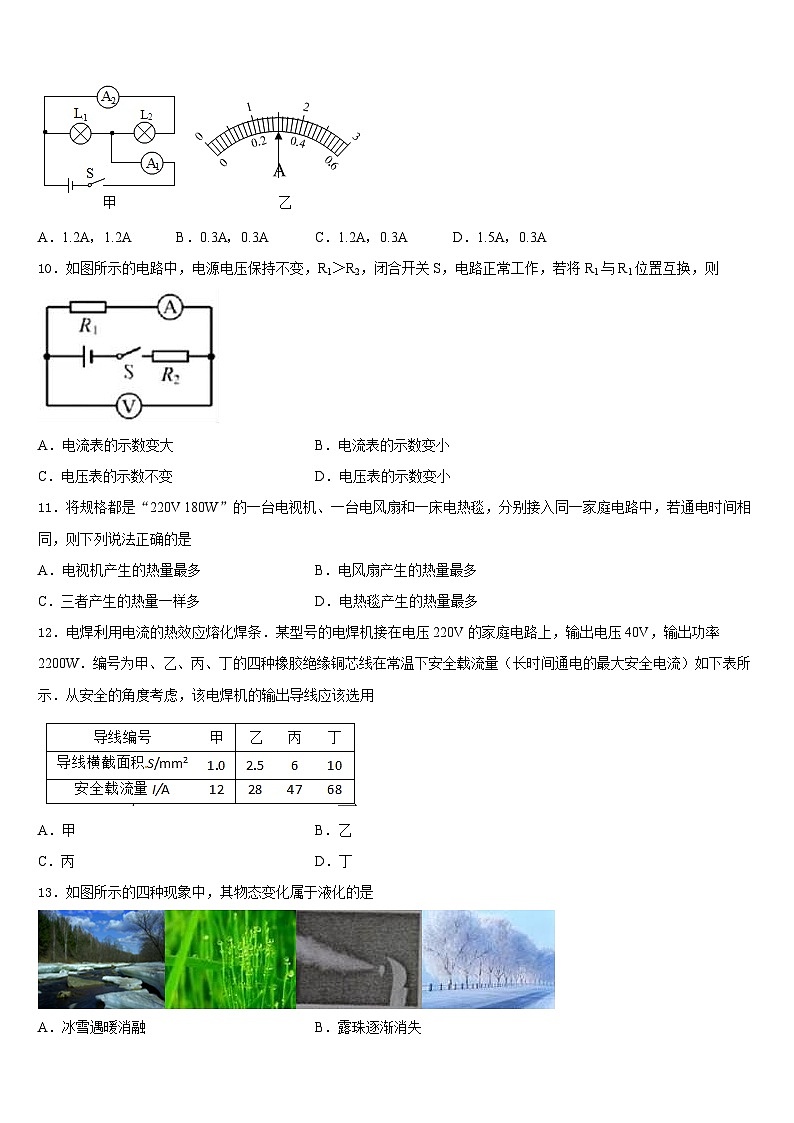 2023-2024学年四川省南充市阆中学市阆中学物理九年级第一学期期末质量跟踪监视试题含答案03