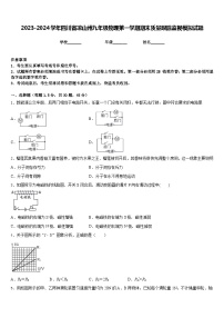 2023-2024学年四川省凉山州九年级物理第一学期期末质量跟踪监视模拟试题含答案