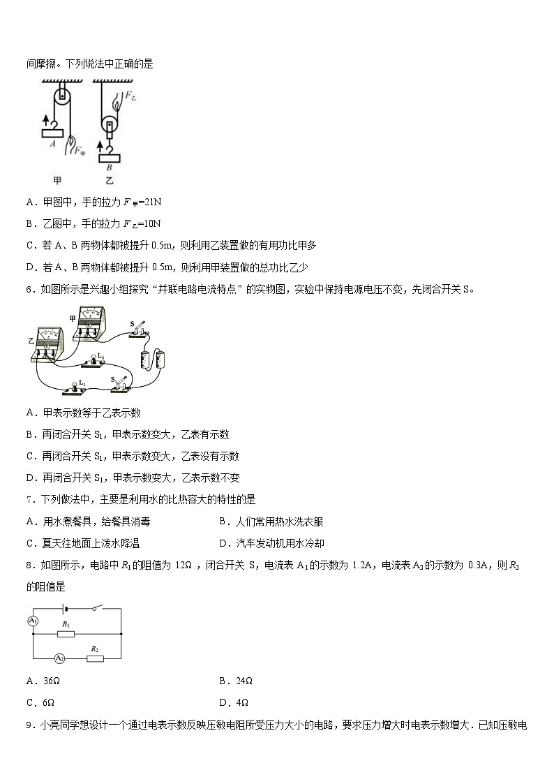2023-2024学年四川省凉山州九年级物理第一学期期末质量跟踪监视模拟试题含答案第2页