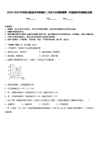 2023-2024学年四川省宜宾市翠屏区二片区九年级物理第一学期期末检测模拟试题含答案