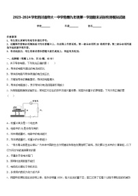 2023-2024学年四川省师大一中学物理九年级第一学期期末达标检测模拟试题含答案