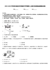 2023-2024学年四川省宜宾市翠屏区中学物理九上期末质量跟踪监视模拟试题含答案