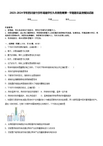 2023-2024学年四川省什邡市城南学校九年级物理第一学期期末监测模拟试题含答案