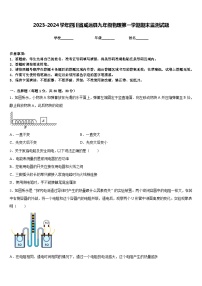 2023-2024学年四川省威远县九年级物理第一学期期末监测试题含答案