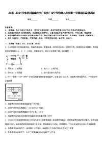 2023-2024学年四川省南充市广安市广安中学物理九年级第一学期期末监测试题含答案