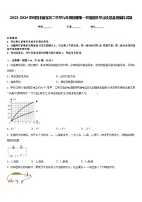 2023-2024学年四川省宜宾二中学九年级物理第一学期期末学业质量监测模拟试题含答案