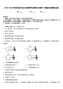 2023-2024学年四川省宁南三峡白鹤滩学校物理九年级第一学期期末经典模拟试题含答案