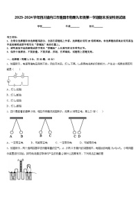 2023-2024学年四川省内江市隆昌市物理九年级第一学期期末质量检测试题含答案