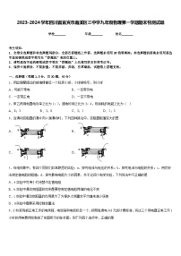 2023-2024学年四川省宜宾市南溪区三中学九年级物理第一学期期末检测试题含答案