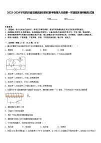 2023-2024学年四川省成都高新区四校联考物理九年级第一学期期末调研模拟试题含答案