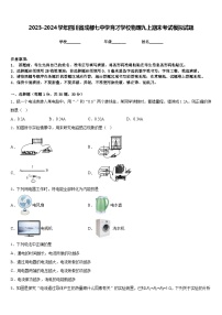 2023-2024学年四川省成都七中学育才学校物理九上期末考试模拟试题含答案