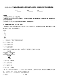 2023-2024学年四川省成都十八中学物理九年级第一学期期末复习检测模拟试题含答案