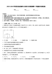 2023-2024学年四川省成都市大邑县九年级物理第一学期期末经典试题含答案