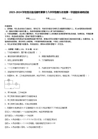 2023-2024学年四川省成都市第第十八中学物理九年级第一学期期末调研试题含答案