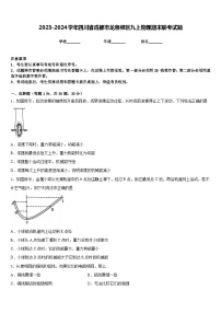 2023-2024学年四川省成都市龙泉驿区九上物理期末联考试题含答案