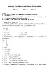 2023-2024学年四川省成都市高新区物理九上期末考试模拟试题含答案