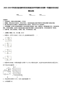 2023-2024学年四川省成都市青羊区树德实验中学物理九年级第一学期期末综合测试模拟试题含答案