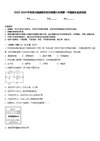 2023-2024学年四川省德阳市名校物理九年级第一学期期末监测试题含答案