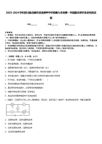 2023-2024学年四川省成都市双流黄甲中学物理九年级第一学期期末教学质量检测试题含答案