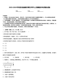 2023-2024学年四川省德阳市第五中学九上物理期末考试模拟试题含答案