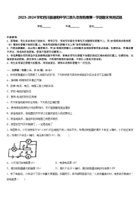 2023-2024学年四川省德阳中学江县九年级物理第一学期期末预测试题含答案