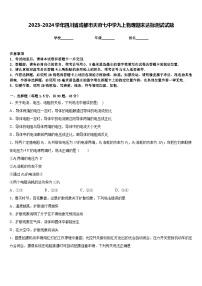 2023-2024学年四川省成都市天府七中学九上物理期末达标测试试题含答案