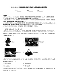 2023-2024学年四川省成都市新都区九上物理期末监测试题含答案