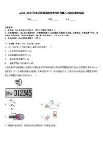 2023-2024学年四川省简阳市养马区物理九上期末调研试题含答案