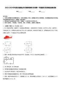 2023-2024学年四川省眉山市丹棱县物理九年级第一学期期末质量跟踪监视试题含答案