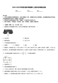 2023-2024学年四川省泸县物理九上期末统考模拟试题含答案