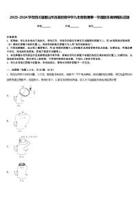 2023-2024学年四川省眉山市百坡初级中学九年级物理第一学期期末调研模拟试题含答案