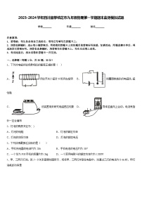 2023-2024学年四川省攀枝花市九年级物理第一学期期末监测模拟试题含答案