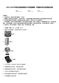 2023-2024学年四川省渠县联考九年级物理第一学期期末综合测试模拟试题含答案