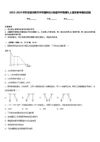 2023-2024学年安徽合肥市中学国科技大附属中学物理九上期末联考模拟试题含答案