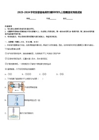 2023-2024学年安徽省亳州市刘桥中学九上物理期末预测试题含答案