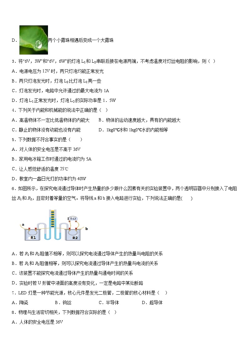 2023-2024学年安徽省亳州市刘桥中学九上物理期末预测试题含答案02