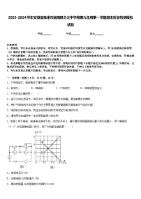 2023-2024学年安徽省亳州市涡阳县王元中学物理九年级第一学期期末质量检测模拟试题含答案