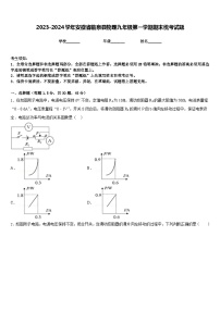 2023-2024学年安徽省临泉县物理九年级第一学期期末统考试题含答案