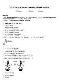 2023-2024学年安徽省亳州市涡阳县物理九上期末复习检测试题含答案