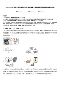 2023-2024学年天津市部分区九年级物理第一学期期末质量跟踪监视模拟试题含答案