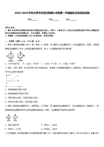 2023-2024学年天津市河北区物理九年级第一学期期末达标测试试题含答案