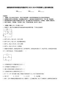 福建省泉州市泉州聚龙外国语学校2023-2024学年物理九上期末调研试题含答案