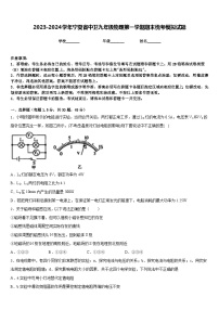 2023-2024学年宁夏省中卫九年级物理第一学期期末统考模拟试题含答案