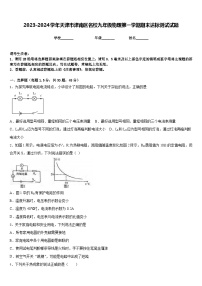 2023-2024学年天津市津南区名校九年级物理第一学期期末达标测试试题含答案