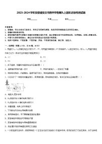 2023-2024学年安徽省安庆市四中学物理九上期末达标检测试题含答案